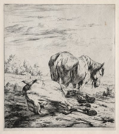 De to hestene, 1850. av Charles Meryon
