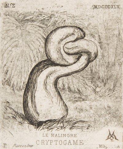Den ynkelige Cryptogamia, 1860. av Charles Meryon