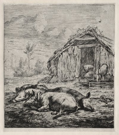 Tre svin som ligger foran en sti, 1850. av Charles Meryon