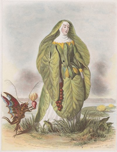 Vannlilje, fra Les Fleurs Animées, 1847. av Charles Michel Geoffroy
