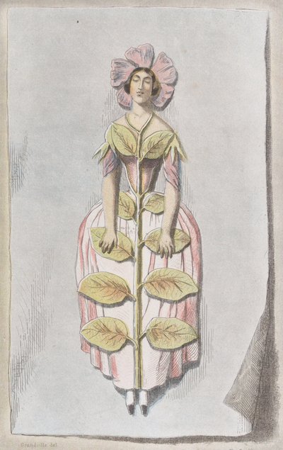 Desiccated Periwinkle, fra Les Fleurs Animées, 1847., 1847. av Charles Michel Geoffroy