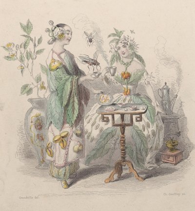 Te og kaffe, fra Les Fleurs Animées, 1847. av Charles Michel Geoffroy