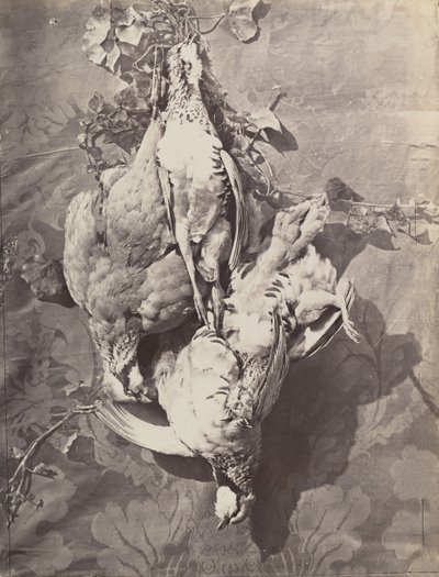 [Still Life with Game Birds], 1859. av Charles Nègre