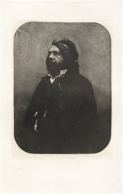 Plate VIII - Portrett av Théophile Gautier, etter Nadar (Plate VIII - Portrait of Théophile Gautier, av Nadar) av Charles Nègre, Nadar, André Jammes