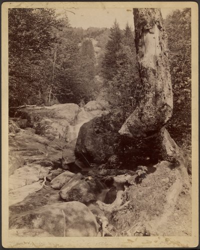  av Charles P. Hibbard
