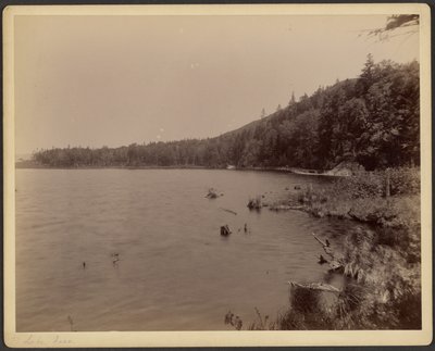  av Charles P. Hibbard