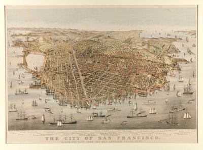 Byen San Francisco - Fugl av Charles Parsons