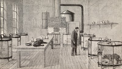 Hunder i bur inne i laboratoriet til Louis Pasteur (1822-1895), fransk kjemiker og biolog, Paris, Frankrike, gravering fra L#39;Illustrazione Italiana, år 12, nr. 46, 15. november av Charles Paul (after) Renouard