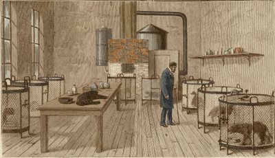 Hunder i bur inne i laboratoriet til Louis Pasteur av Charles Paul Renouard