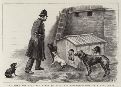 Hjemmet for fortapte og sultne hunder, Battersea, og henter inn en nykommer av Charles Paul Renouard