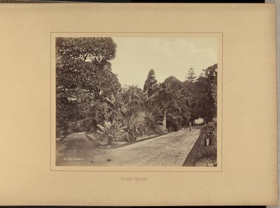  av Charles Percy Pickering