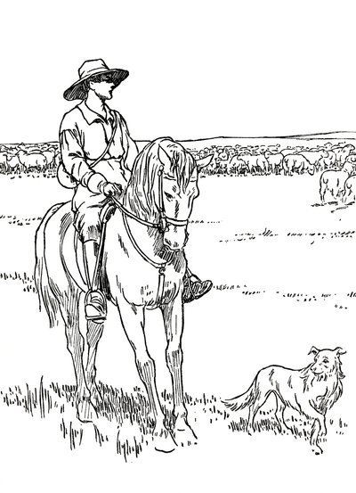 En sauestasjon i Australia, 1912 av Charles Robinson