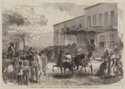 Abyssinian Expedition, transportoffiserer kjøper muldyr overfor Shepheard