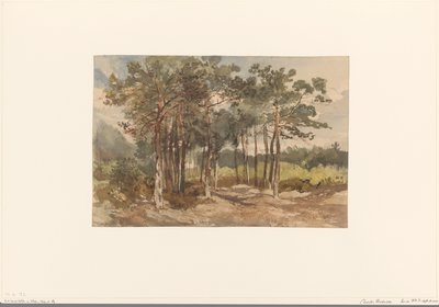 Tregruppe i skogen ved Driebergen av Charles Rochussen