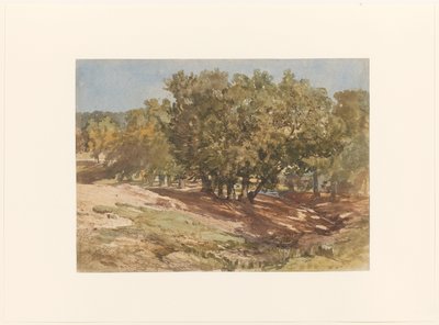 Utsikt ved Beekhuizen, på Zijpenberg av Charles Rochussen