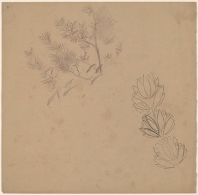 Studer for et kantdesign med en skisse av et tre av Charles Sprague Pearce