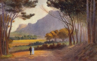 Cape Peninsula, Sør-Afrika: Alphen (farge litho) av Charles Stephen Meacham