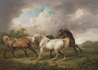 Tre hester i et stormfullt landskap (olje på lerret) av Charles Towne