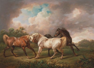 Tre hester i et stormfullt landskap av Charles Towne