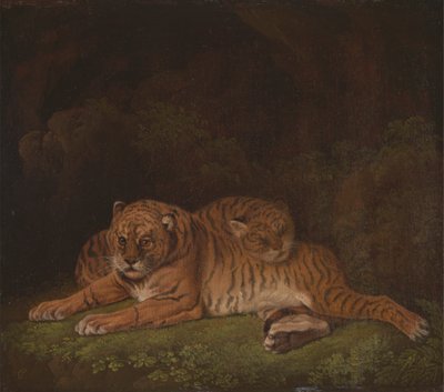 Tigre av Charles Towne