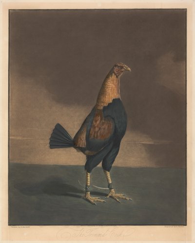  av Charles Turner