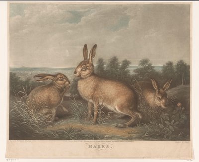 Tre dis Harer (tittel på objekt) av Charles Turner