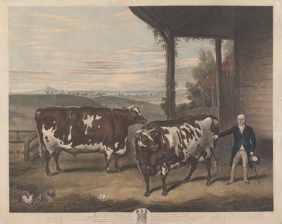 To Durham Oxen av Charles Turner