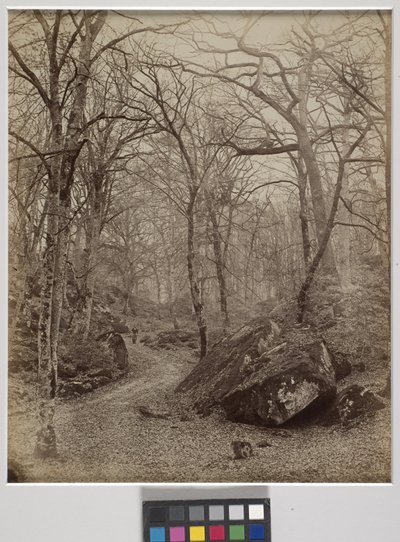 Fontainebleau, ca. 1870 (albumtrykk) av Charles Victor Famin