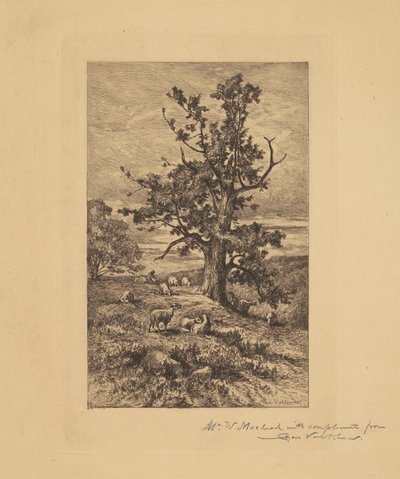 Landskap med sauer av Charles Volkmar