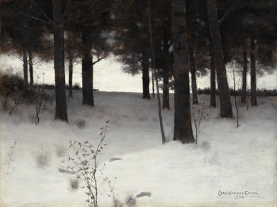 Skog om vinteren av Charles Warren Eaton