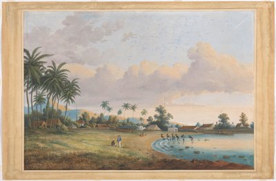 Ansikt til nellik Java av Charles William Meredith van de Velde