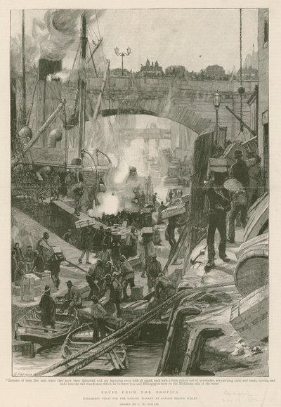 Frukt fra tropene (gravering) av Charles William Wyllie