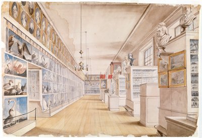 The Long Room, Interiør av Front Room i Peales Museum, 1822 (wc over grafitt på papir) av Charles Willson Peale