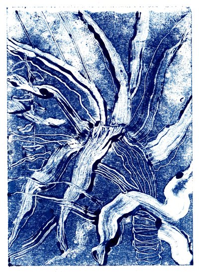 Inky Plants no.2, 2019 (monoprint) av Charlotte Orr