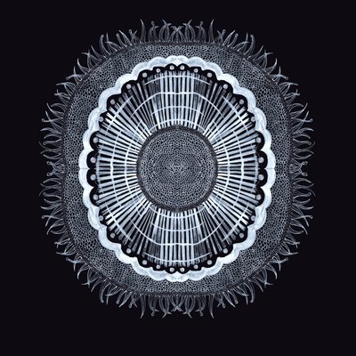 Plant Cell 0.2, 2019 (penn og blekk) av Charlotte Orr