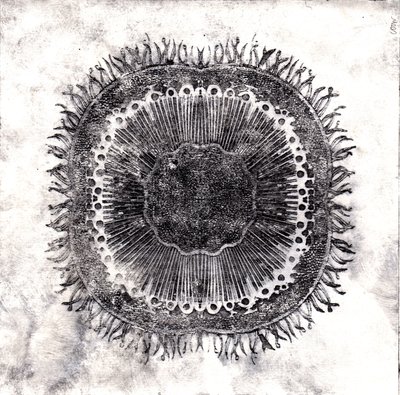 Planteceller, 2019 (tørrpunktetsing) av Charlotte Orr