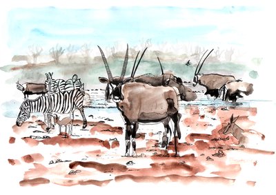 Safari, 2018 (blekk og akvarell) av Charlotte Orr