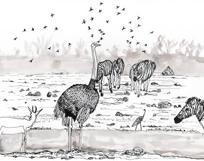 Safari 2, 2018 (blekk og akvarell) av Charlotte Orr