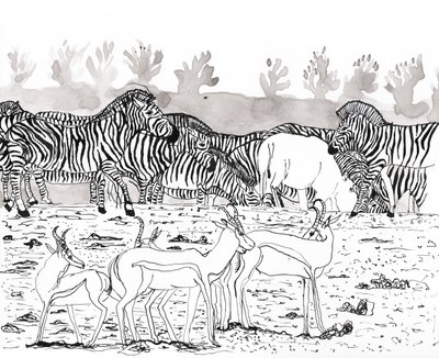 Safari 3, 2018 (blekk og akvarell) av Charlotte Orr