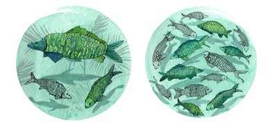 Small Fish Big Pond, 2018 (penn og blekk, akvarell og digital) av Charlotte Orr