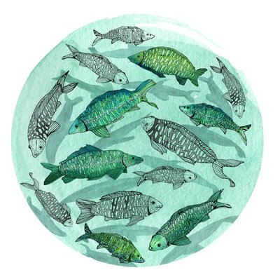Small Fish Big Pond, 2018 (penn og blekk, akvarell og digital) av Charlotte Orr