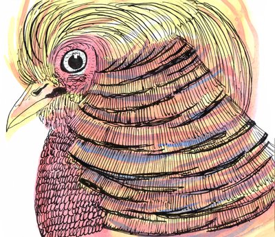 Tropical Bird, 2018 (penn, blekk og akvarell) av Charlotte Orr