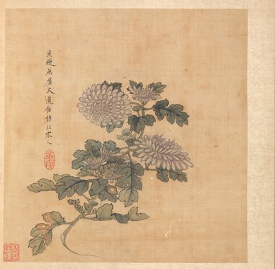 Malerier etter eldgamle mestere: Chrysanthemum, 1598-1652. av Chen Hongshou