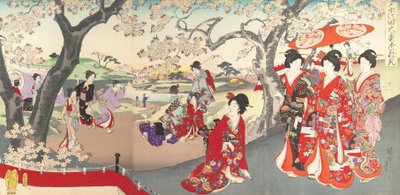 Chiyoda Castle Album of Women, 1895., 1895. av Chikanobu Yoshu