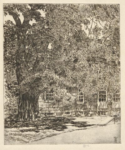Kjempealm, 1929 av Childe Hassam