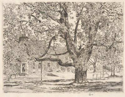 The Big Horse Chestnut Tree, Easthampton av Childe Hassam