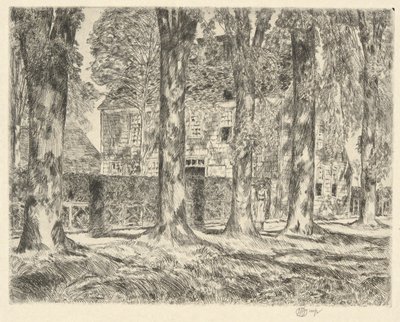 Village Elms, 1923 av Childe Hassam