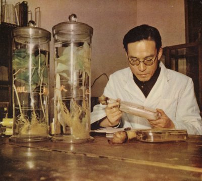 Kinesisk landbrukskjemiker fra Changchun Research Institute People