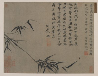 En spray av bambus, muligens Qing-dynastiet (blekk på papir) av Chinese School