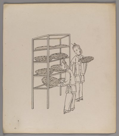 Album med separate blader: Silke Cultivation and Production (blekk på papir) (se også 499288-303) av Chinese School